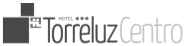 Logo Torreluz Centro Pie